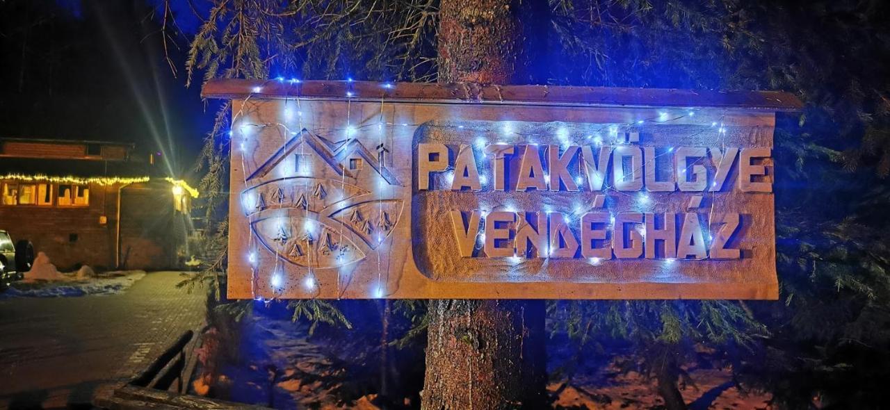 Patakvoelgye Vendeghaz Villa Извоаре Екстериор снимка